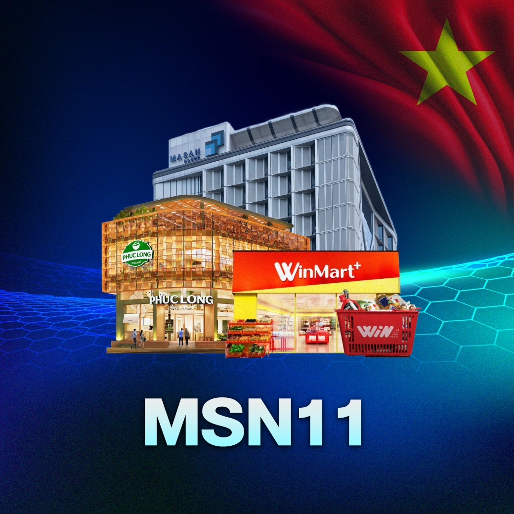 MSN11