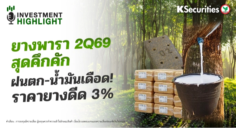 ยางพารา 2Q69 สุดคึกคัก ฝนตก-น้ำมันเดือด! ราคายางดีด 3%🌴