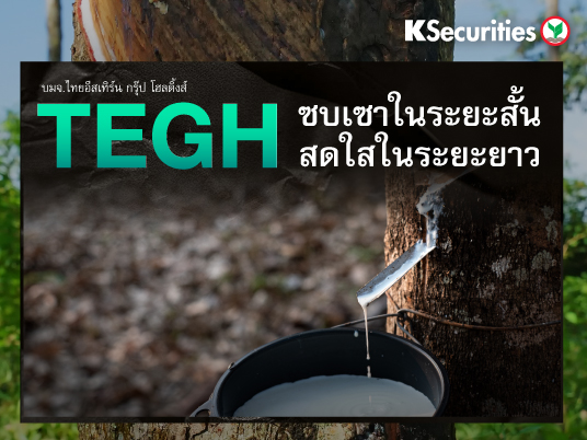KS : TEGH ซบเซาในระยะสั้น สดใสในระยะยาว