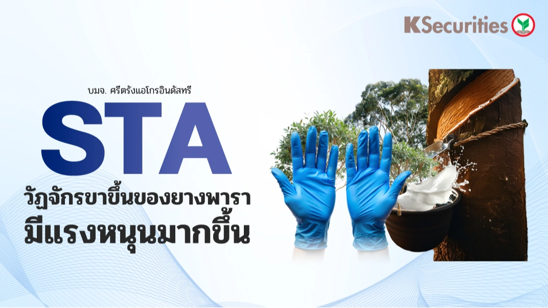 KS : STA วัฏจักรขาขึ้นของยางพารามีแรงหนุนมากขึ้น