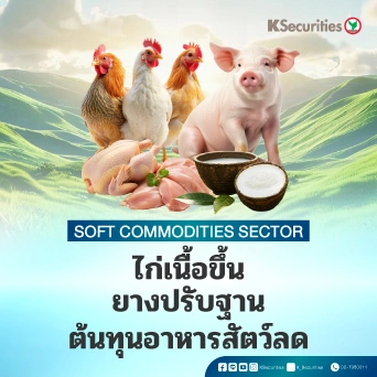 KS : ไก่เนื้อขึ้น ยางปรับฐาน ต้นทุนอาหารสัตว์ลด