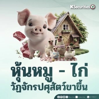 KS : หุ้นหมู-ไก่ วัฏจักรปศุสัตว์ขาขึ้น 🐔