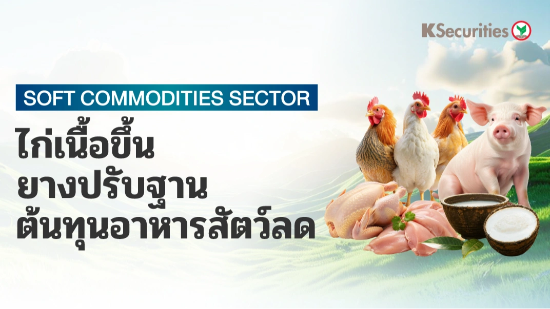KS : ไก่เนื้อขึ้น ยางปรับฐาน ต้นทุนอาหารสัตว์ลด