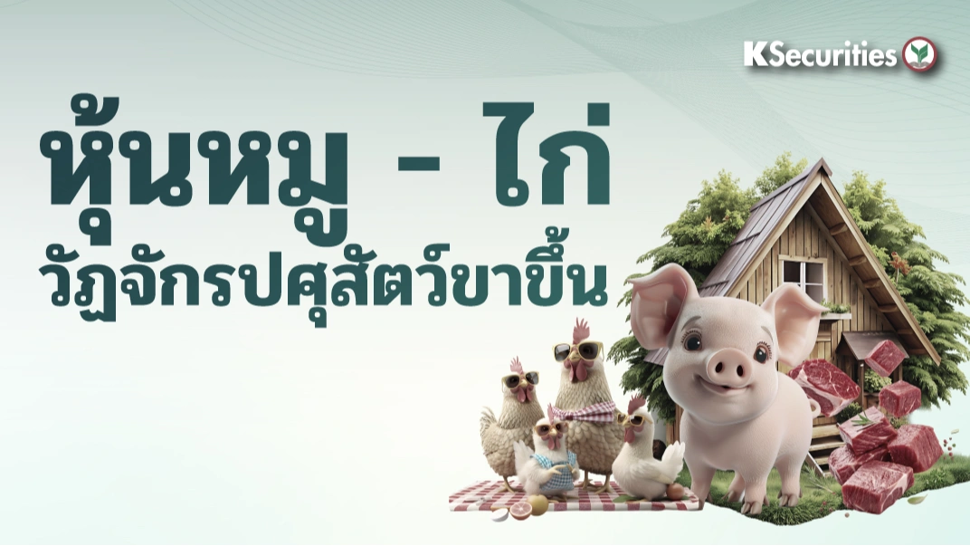 KS : หุ้นหมู-ไก่ วัฏจักรปศุสัตว์ขาขึ้น 🐔