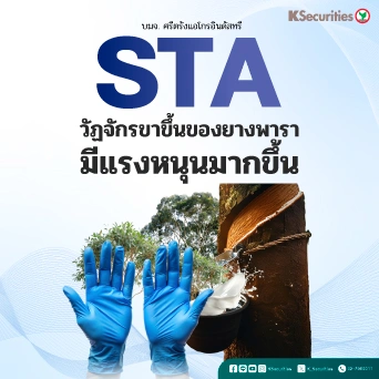 KS : STA วัฏจักรขาขึ้นของยางพารามีแรงหนุนมากขึ้น