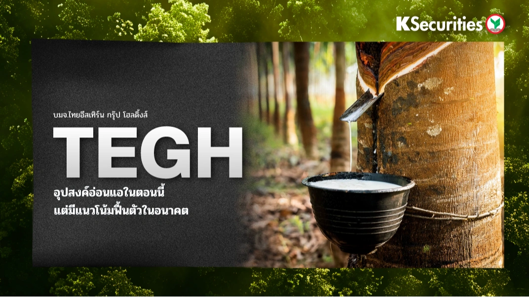 KS : TEGH อุปสงค์อ่อนแอในตอนนี้ แต่มีแนวโน้มฟื้นตัวในอนาคต