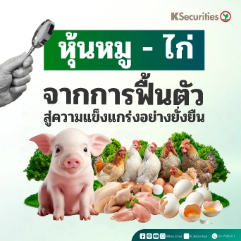 🐷🐔กลุ่มสินค้าโภคภัณฑ์: จากการฟื้นตัวสู่ความแข็งแกร่งอย่างยั่งยืน